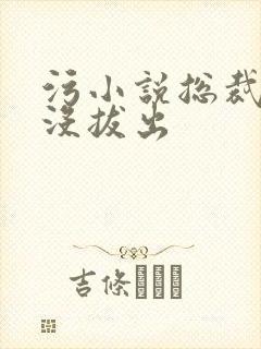 污小说总裁整夜没拔出