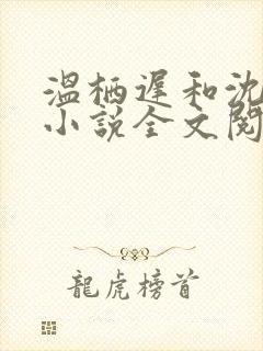 温栖迟和沈南霜小说全文阅读