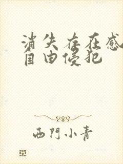 消失存在感消失自由侵犯封面