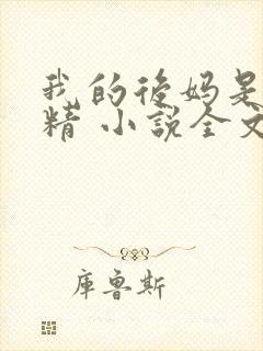 我的后妈是狐狸精 小说全文阅读免费封面