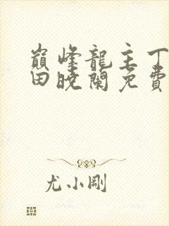 巅峰龙主丁长顺田晓兰免费阅读