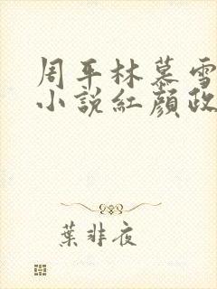 周平林慕雪官场小说红颜政道