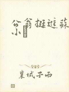 公翁挺进苏玥的小泬