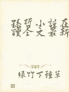 孙哲小说在线阅读全文最新