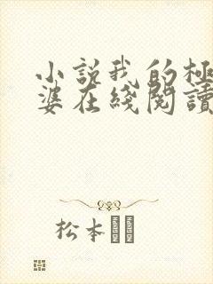 小说我的极品老婆在线阅读全文
