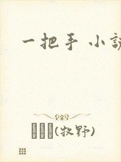 一把手 小说