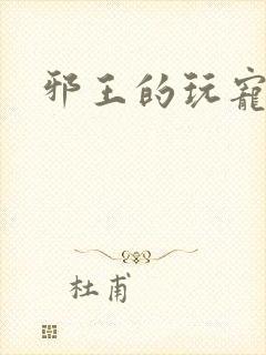 邪王的玩宠