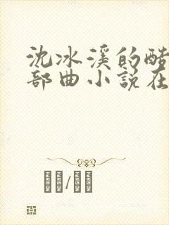 沈冰溪的酷刑三部曲小说在线阅读