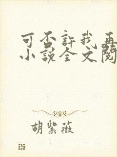 可否许我再少年小说全文阅读封面
