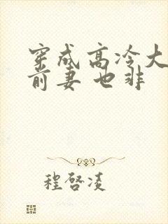 穿成高冷大佬的前妻 也非