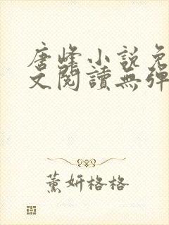 唐峰小说免费全文阅读无弹窗封面