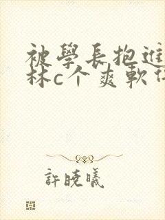 被学长抱进小树林c个爽软件