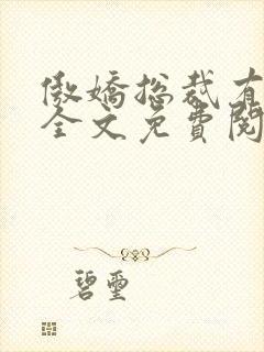 傲娇总裁有点暖全文免费阅读封面