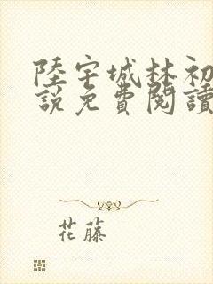 陆宇城林初韵小说免费阅读最新章节
