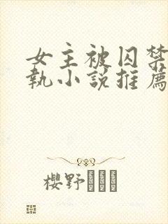 女主被囚禁的偏执小说推荐封面