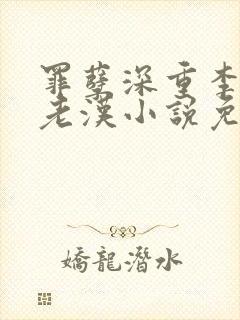 罪孽深重李茹王老汉小说免费全文