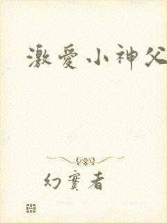 激爱小神父