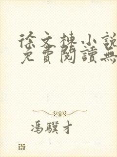 徐文栋小说全文免费阅读无弹窗