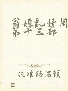 翁媳乱情周梦莹第十三部封面