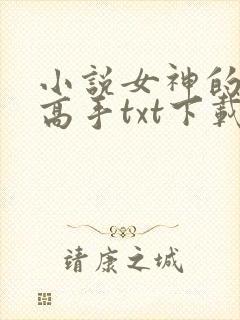 小说女神的贴身高手txt下载