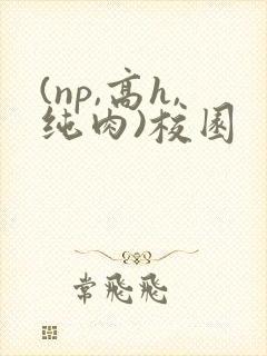 (np,高h,纯肉)校园