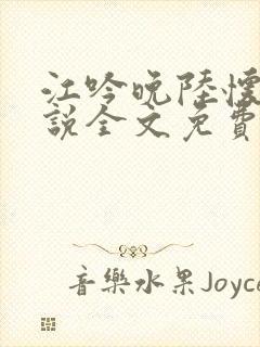 江吟晚陆怀瑾小说全文免费阅读全文封面