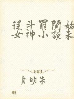 从斗罗开始俘获女神小说未删版txt封面