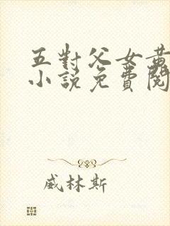 五对父女黄雨萌小说免费阅读全文下