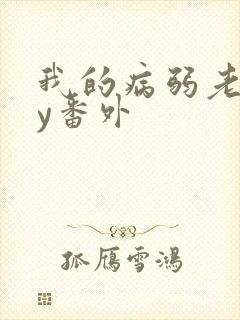 我的病弱老婆by番外封面