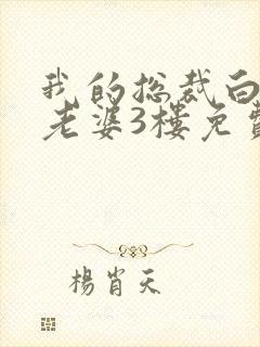我的总裁白富美老婆3楼免费版