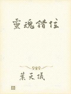 灵魂错位封面