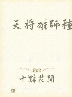 天将雄师种子封面