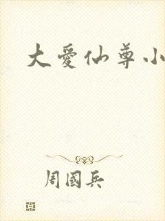 大爱仙尊小说封面