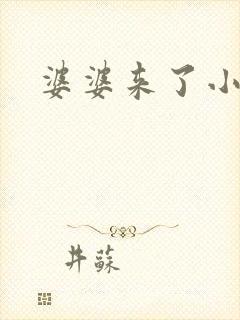 婆婆来了小说