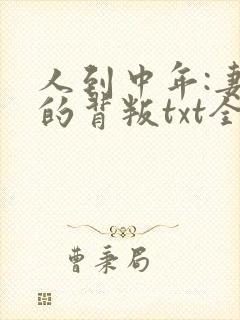 人到中年:妻子的背叛txt全本