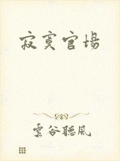 寂寞官场