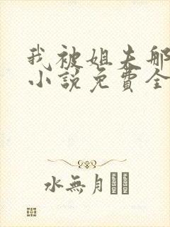 我被姐夫那些年小说免费全文阅读