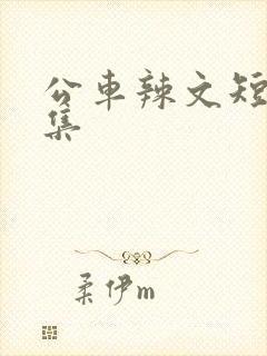 公车辣文短篇合集封面