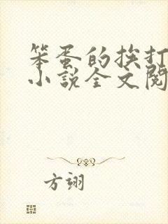 笨蛋的挨打日常小说全文阅读免费