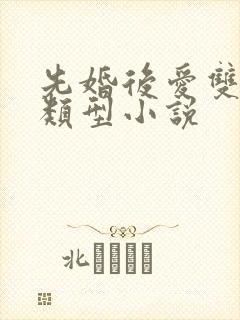 先婚后爱双男主类型小说