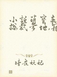 小说萌宝来袭:总裁爹地,宠上天封面