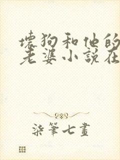 坏狗和他的可爱老婆小说在线阅读