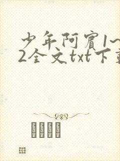 少年阿宾1~72全文txt下载