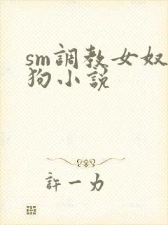 sm调教女奴母狗小说