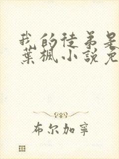 我的徒弟是女帝叶枫小说免费阅读封面