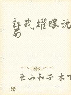 许我耀眼沈家结局