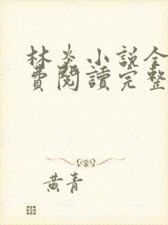 林炎小说全文免费阅读完整版封面