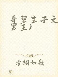 哥儿生子文(双男主)封面