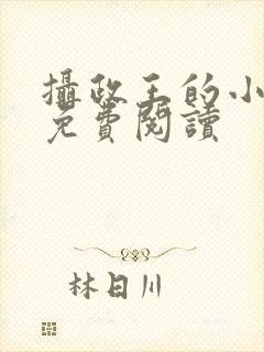 摄政王的小闲妻免费阅读封面