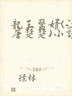 龙王医婿(江辰唐楚楚)小说
